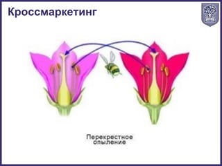 Кроссмаркетинг
 