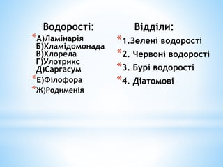Водорості:
*А)Ламінарія
Б)Хламідомонада
В)Хлорела
Г)Улотрикс
Д)Саргасум
*Е)Філофора
*Ж)Родименія
Відділи:
*1.Зелені водорості
*2. Червоні водорості
*3. Бурі водорості
*4. Діатомові
 