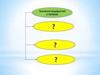 Значення водоростей
у природі
?
?
?
 
