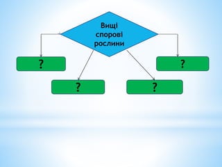 Вищі
спорові
рослини
?
? ?
?
 