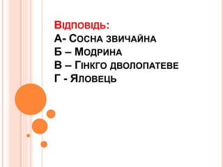 ВІДПОВІДЬ:
А- СОСНА ЗВИЧАЙНА
Б – МОДРИНА
В – ГІНКГО ДВОЛОПАТЕВЕ
Г - ЯЛОВЕЦЬ
 