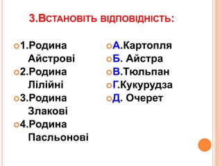 3.ВСТАНОВІТЬ ВІДПОВІДНІСТЬ:
1.Родина
Айстрові
2.Родина
Лілійні
3.Родина
Злакові
4.Родина
Пасльонові
А.Картопля
Б. Айстра
В.Тюльпан
Г.Кукурудза
Д. Очерет
 