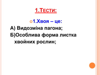 1.ТЕСТИ:
1.Хвоя – це:
А) Видозміна пагона;
Б)Особлива форма листка
хвойних рослин;
 