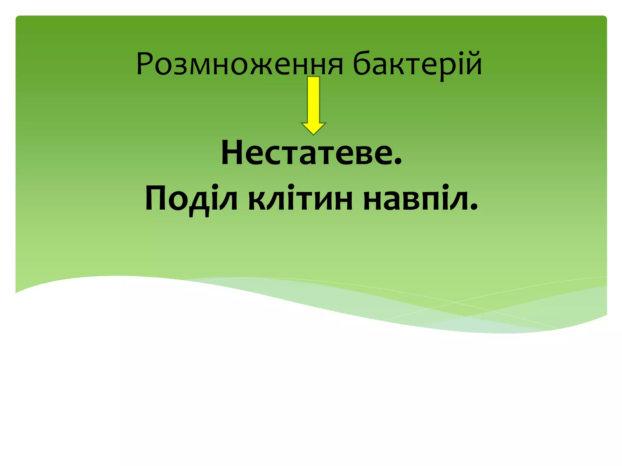 Нестатеве.
Поділ клітин навпіл.
Розмноження бактерій
 