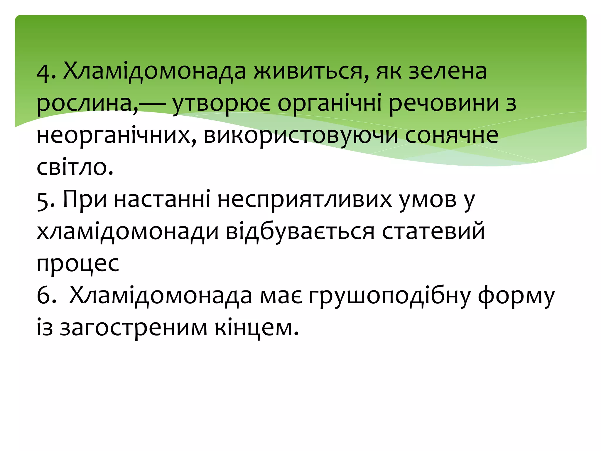 4. Хламідомонада живиться, як зелена
рослина,— утворює органічні речовини з
неорганічних, використовуючи сонячне
світло.
5. При настанні несприятливих умов у
хламідомонади відбувається статевий
процес
6. Хламідомонада має грушоподібну форму
із загостреним кінцем.
 
