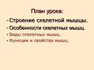 План урока:План урока:
Строение скелетной мышцы.Строение скелетной мышцы.
Особенности скелетных мышц.Особенности скелетных мышц.
Виды скелетных мышц.Виды скелетных мышц.
Функции и свойства мышц.Функции и свойства мышц.
 
