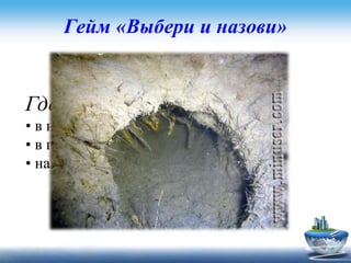 Гейм «Выбери и назови»
Задание для первой команды
Где зимуют раки ?
• в норках на дне водоема
• в грязи на дне водоема
• на берегу водоема
 