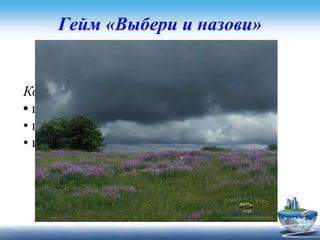 Гейм «Выбери и назови»
Задание для первой команды
Когда курицы купаются в пыли ?
• перед дождем
• перед ясной погодой
• перед грозой
 