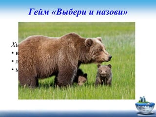 Гейм «Выбери и назови»
Задание для второй команды
Хищник любит малину?
• волк
• лиса
• медведь
 