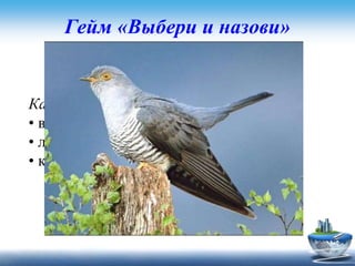 Гейм «Выбери и назови»
Задание для второй команды
Какие птицы не вьют себе гнезда?
• воробьи
• ласточки
• кукушки
 