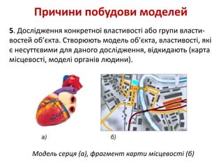5. Дослідження конкретної властивості або групи власти-
востей об’єкта. Створюють модель об’єкта, властивості, які
є несуттєвими для даного дослідження, відкидають (карта
місцевості, моделі органів людини).
Причини побудови моделей
Модель серця (а), фрагмент карти місцевості (б)
 