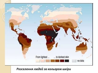 Розселення людей за кольором шкіри
 