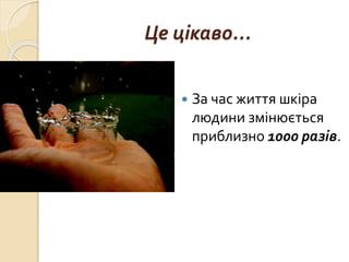 Це цікаво...
 За час життя шкіра
людини змінюється
приблизно 1000 разів.
 