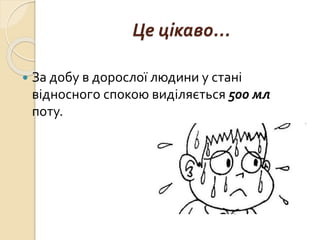 Це цікаво...
 За добу в дорослої людини у стані
відносного спокою виділяється 500 мл
поту.
 