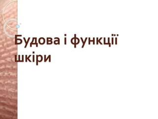 Будова і функції
шкіри
 