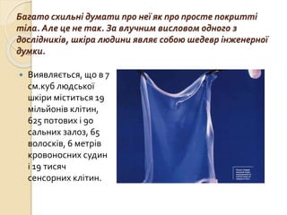 Багато схильні думати про неї як про просте покритті
тіла. Але це не так. За влучним висловом одного з
дослідників, шкіра людини являє собою шедевр інженерної
думки.
 Виявляється, що в 7
см.куб людської
шкіри міститься 19
мільйонів клітин,
625 потових і 90
сальних залоз, 65
волосків, 6 метрів
кровоносних судин
і 19 тисяч
сенсорних клітин.
 