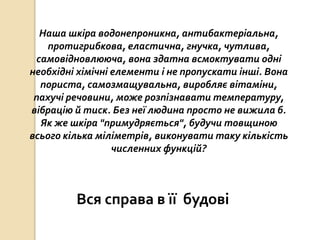 Наша шкіра водонепроникна, антибактеріальна,
протигрибкова, еластична, гнучка, чутлива,
самовідновлююча, вона здатна всмоктувати одні
необхідні хімічні елементи і не пропускати інші. Вона
пориста, самозмащувальна, виробляє вітаміни,
пахучі речовини, може розпізнавати температуру,
вібрацію й тиск. Без неї людина просто не вижила б.
Як же шкіра "примудряється", будучи товщиною
всього кілька міліметрів, виконувати таку кількість
численних функцій?
Вся справа в її будові
 