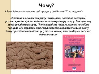 Чому?
Айзек Азімов так пояснив цей процес у своїй книзі "Тіло людини":
«Клітини в основі епідермісу - живі, вони постійно ростуть і
розмножуються, нова клітина виштовхує вгору стару. Без притоку
крові ця клітка вмирає, і інтенсивність нашого життя постійно
"стирає цей мертвий матеріал з поверхні нашого тіла, на зміну
йому приходить новий знизу і, таким чином, наш епідерміс весь час
оновлюється»
 