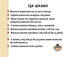 Це цікаво
Волосся виростає на 12 мм в місяць .
Окремі волосини живуть сім років.
Якщо ніколи не стригти волосся, воно
можуть вирости до 107 см .
У жінок волосся довше, ніж у чоловіків.
Волосся росте швидше влітку і під час сну .
Волосся росте швидше у віці від 16 до 24 років
.
У жінок у віці від 40 до 50 років може випасти
до 20% волосся .
З віком волосся стає сухіше.
 