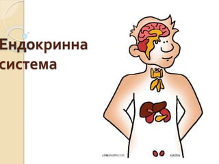 кринна
система
 
