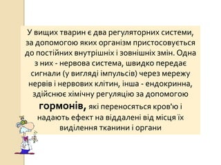 У вищих тварин є два регуляторних системи,
за допомогою яких організм пристосовується
до постійних внутрішніх і зовнішніх змін. Одна
з них - нервова система, швидко передає
сигнали (у вигляді імпульсів) через мережу
нервів і нервових клітин, інша - ендокринна,
здійснює хімічну регуляцію за допомогою
гормонів, які переносяться кров'ю і
надають ефект на віддалені від місця їх
виділення тканини і органи
 