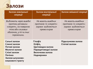 Залози
Залози зовнішньої
секреції
Залози внутрішньої
секреції
Залози змішаної секреції
Виділяють через вивідні
протоки речовини-
«секрет», на поверхню
тіла або слизових
оболонок, у ті чи інші
порожнини.
Не мають вивідних
протоків і їх «секрет»-
гормон виділяється
прямо в кров
Не мають вивідних
протоків і їх «секрет»-
гормон виділяється
прямо в кров
Сальні залози
Слинні залози
Потові залози
Молочні залози
Слізні залози
Печінка
Залози шлунково-
кишкового тракту
Гіпофіз
Епіфіз,
Щитовидна залоза
Паращитовидні залози
Вилочкова залоза
Наднирники
Підшлункова залоза
Статеві залози
 