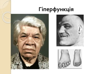 Гіперфункція
 
