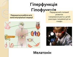 Гіперфункція
Гіпофункція
Порушується робота всіх
залоз внутрішньої секреції
Передчасний статевий
розвиток
і затримання росту у дітей
унаслідок гальмівної дії на
гіпофіз
Мелатонін
 