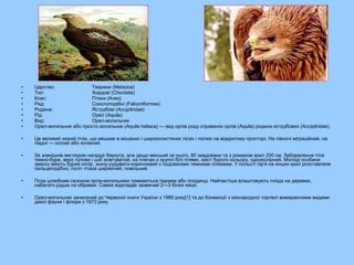 • Царство: Тварини (Metazoa)
• Тип: Хордові (Chordata)
• Клас: Птахи (Aves)
• Ряд: Соколоподібні (Falconiformes)
• Родина: Яструбові (Accipitridae)
• Рід: Орел (Aquila)
• Вид: Орел-могильник
• Орел-могильник або просто могильник (Aquila heliaca) — вид орлів роду справжніх орлів (Aquila) родини яструбових (Accipitridae).
• Це великий хижий птах, що мешкає в мішаних і широколистяних лісах і полює на відкритому просторі. На півночі міграційний, на
півдні — осілий або кочівний.
• За зовнішнів виглядом нагадує беркута, але дещо менший за нього, 80 завдовжки та з ромахом крил 200 см. Забарвлення тіла
темно-буре, верх голови і шиї жовтуватий, на плечах є крупні білі плями, хвіст бурого кольору, одноколірний. Молоді особини
зверху мають бурий колір, знизу рудувато-коричневий з подовжніми темними плямами. У польоті пір'я на кінцях крил розставлене
пальцеподібно, політ птаха ширяючий, повільний.
• Поза шлюбним сезоном орли-могильники тримаються парами або поодинці. Найчастіше влаштовують гнізда на деревах,
набагато рідше на обривах. Самка відкладає зазвичай 2—3 білих яйця.
• Орел-могильник занесений до Червоної книги України з 1980 року[1] та до Конвенції з міжнародної торгівлі вимираючими видами
дикої фауни і флори з 1973 року.
 