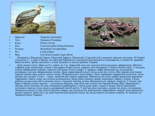 • Царство: Тварини (Animalia)
• Тип: Хордові (Chordata)
• Клас: Птахи (Aves)
• Ряд: Соколоподібні (Falconiformes)
• Родина: Яструбові (Accipitridae)
• Рід: Сипи (Gyps)
• Вид: Сип білоголовий, Gyps fulvus
• Поширені в Південній Європі, Північній Африці, Південній і Середній Азії у великих гірських системах. В Україні
гніздяться 2—3 пари в Криму, на території Кримського заповідно-мисливського господарства, в скелястих урвищах
Бабуган-яйли. Зрідка залітають і в інші південні та західні райони України.
• Дуже великі птахи. Маса до 6,1, навіть до 7 кг. Дорослий птах має загальне блідо-рудувате забарвлення. Махові і
стернові пера темно-бурі, голова і шия вкриті білим пухом, навколо шиї «комірець» з м'якого білого пір'я. У молодих
птахів забарвлення темніше, навколо шиї немає білого коміра. У природі добре визначаються за великими
розмірами, світлим забарвленням голови. Дуже характерний силует птаха, коли він летить. Він широко розставляє
передні махові пера, втягує злегка голову. Піднімається із землі важко. Літає переважно ширяючим польотом, часто
високо над землею. Голос — свист, шипіння або хрипле каркання. Живляться ці птахи майже винятково мертвими
тваринами і навіть тими, що почали розкладатися. Дуже рідко хапають живих невеликих звірків і птахів. Гнізда
роблять на виступах або в щілинах скель з чималих товстих сучків. Вимощують їх травою і шерстю. У кладці, яка
буває в Криму в кінці лютого — на початку березня, одне біле, яке згодом стає брудно-білим, яйце. Насиджують
обидва птахи, близько 50 днів. Пташенята перебувають у гнізді дуже довго, понад 3 місяці. Після закінчення
гніздового періоду птахи ведуть мандрівний спосіб життя. У цей час вони залітають далеко від місць гніздування.
Знищуючи падло, в тому числі й рештки тварин, що загинули від небезпечних інфекційних хвороб, сипи приносять
велику користь. Крім того, це дуже малочислені рідкісні птахи, які заслуговують на повну охорону. Їх занесено до
Червоної книги України.
 