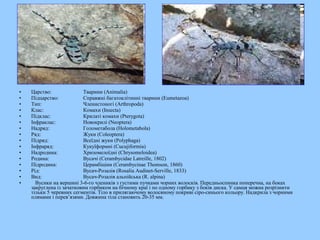 • Царство: Тварини (Animalia)
• Підцарство: Справжні багатоклітинні тварини (Eumetazoa)
• Тип: Членистоногі (Arthropoda)
• Клас: Комахи (Insecta)
• Підклас: Крилаті комахи (Pterygota)
• Інфраклас: Новокрилі (Neoptera)
• Надряд: Голометабола (Holometabola)
• Ряд: Жуки (Coleoptera)
• Підряд: Всеїдні жуки (Polyphaga)
• Інфраряд: Кукуїформні (Cucujiformia)
• Надродина: Хризомелоїдні (Chrysomeloidea)
• Родина: Вусачі (Cerambycidae Latreille, 1802)
• Підродина: Церамбіціни (Cerambycinae Thomson, 1860)
• Рід: Вусач-Розалія (Rosalia Audinet-Serville, 1833)
• Вид: Вусач-Розалія альпійська (R. alpina)
• Вусики на вершині 3-6-го члеників з густими пучками чорних волосків. Передньоспинка поперечна, на боках
закруглена із зачатковим горбиком на бічному краї і по одному горбику з боків диска. У самця можна розрізнити
тільки 5 черевних сегментів. Тіло в прилягаючому волосяному покриві сіро-синього кольору. Надкрила з чорними
плямами і перев’язями. Довжина тіла становить 20-35 мм.
 