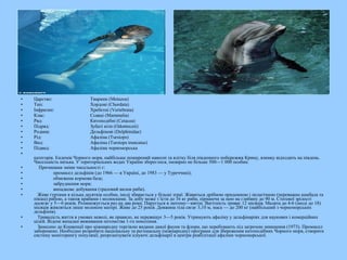 • Царство: Тварини (Metazoa)
• Тип: Хордові (Chordata)
• Інфратип: Хребетні (Vertebrata)
• Клас: Ссавці (Mammalia)
• Ряд: Китоподібні (Cetacea)
• Підряд: Зубаті кіти (Odontoceti)
• Родина: Дельфінові (Delphinidae)
• Рід: Афаліна (Tursiops)
• Вид: Афаліна (Tursiops truncatus)
• Підвид: Афаліна чорноморська
•
категорія. Ендемік Чорного моря, найбільше поширений навесні та влітку біля південного побережжя Криму, взимку відходить на південь.
Чисельність низька. У територіальних водах України збереглося, імовірно не більше 500—1 000 особин.
• Причинами зміни чисельності є:
• промисел дельфінів (до 1966 — в Україні, до 1983 — у Туреччині);
• обмежена кормова база;
• забруднення моря;
• випадкове добування (траловий вилов риби).
• Живе гуртами в кілька десятків особин, іноді збирається у більші зграї. Живиться дрібною придонною і пелагічною (переважно камбала та
пікша) рибою, а також крабами і молюсками. За добу може з`їсти до 16 кг риби, пірнаючи за нею на глибину до 90 м. Статевої зрілості
досягає у 5—6 років. Розмножується раз на два роки. Парується в лютому—квітні. Вагітність триває 12 місяців. Малята до 4-6 (іноді до 18)
місяців живляться лише молоком матері. Живе до 25 років. Довжина тіла сягає 3,10 м, маса — до 200 кг (найбільший з чорноморських
дельфінів).
• Тривалість життя в умовах неволі, як правило, не перевищує 3—5 років. Утримують афаліну у дельфінаріях для наукових і комерційних
цілей. Відомі випадки виживання потомства 1-го покоління.
• Занесено до Конвенції про міжнародну торгівлю видами дикої фауни та флори, що перебувають під загрозою зникнення (1973). Промисел
заборонено. Необхідно розробити національну та регіональну (міжнародну) програми для збереження китоподібних Чорного моря, створити
систему моніторингу популяції, реорганізувати існуючі дельфінарії в центри реабілітації афаліни чорноморської.
 