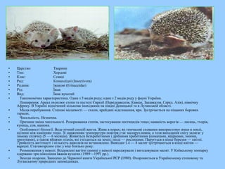 • Царство: Тварини
• Тип: Хордові
• Клас: Ссавці
• Ряд: Комахоїдні (Insectivora)
• Родина: їжакові (Erinaceidae)
• Рід: Їжак
• Вид: Їжак вухатий
• Таксономічна характеристика. Один з 5 видів роду; один з 2 видів роду у фауні України.
Поширення. Ареал охоплює степи та пустелі Євразії (Передкавказзя, Кавказ, Закавказзя, Серед. Азія), північну
Африку. В Україні відмічений кількома знахідками на півдні Донецької та в Луганській області.
• Місця перебування. Степові місцевості — схили, крейдяні відслонення, яри. Зустрічається на піщаних борових
терасах.
• Чисельність. Незначна.
• Причини зміни чисельності. Розорювання степів, застосування пестицидів тощо; наявність ворогів — лисиць, тхорів,
куниць, сов, канюка.
• Особливості біології. Веде нічний спосіб життя. Живе в норах; як тимчасові схованки використовує ямки в землі,
щілини між камінням тощо. Зі зниженням температури повітря стає малорухливим, а теля випадання снігу залягає у
зимову сплячку (5 — 6 місяців). Живиться безхребетними і дрібними хребетними (комахами, ящірками, зміями,
гризунами), а також яйцями птахів, які гніздяться на землі; іноді — рослинами. Парується в кінці березня — квітні.
Тривалість вагітності і кількість виводків не встановлено. Виводки з 4 — 8 малят зустрічаються в кінці квітня —
вересні. Статевозрілим стає у віці близько року.
• Розмноження у неволі. Віддовлені вагітні самиці у неволі народжували і вигодовували малят. У Київському зоопарку
одержано три покоління їжаків вухатих (1989—1991 рр.).
• Заходи охорони. Занесено до Червоної книги Української РСР (1980). Охороняється в Українському степовому та
Луганському природних заповідниках.
 