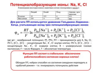 Потенциалобразующие ионы: Na, K, Cl
Для расчета ПП используется уравнение Гольдмана–Ходжкина–
Катца, учитывающее вклад трех потенциалобразующих ионов:
где ϕМ - мембранный потенциал; PK, PNa, PCl – проницаемости для K, Na, Cl;
[Na
+
]i, [K
+
]i , [Cl
-
]i - концентрация Na
+
, K
+
, Cl
-
внутри клетки; [Na
+
]0, [K
+
]0 , [Cl
-
]0 -
концентрация Na
+
, K
+
, Cl
-
снаружи клетки; R – универсальная газовая
постоянная; F – число Фарадея, T – абсолютная температура
Функция ПП состоит в стабильном обеспечении
работоспособного состояния нервных клеток!
Обладая ПП, нейрон способен из состояния ожидания переходить в
«рабочий режим» - т.е. генерировать потенциалы действия
 