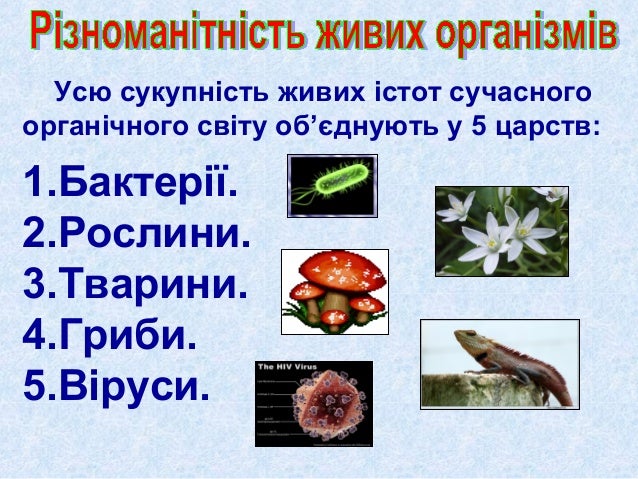 Результат пошуку зображень за запитом різноманітність організмів