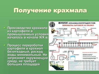 Получение крахмала
 Производство крахмала
из картофеля в
промышленных условиях
началось в начале XIX в.
 Процесс переработки
картофеля в крахмал
безотходный, расход
воды минимальный. Не
загрязняет окружающую
среду, не требует
больших площадей
 