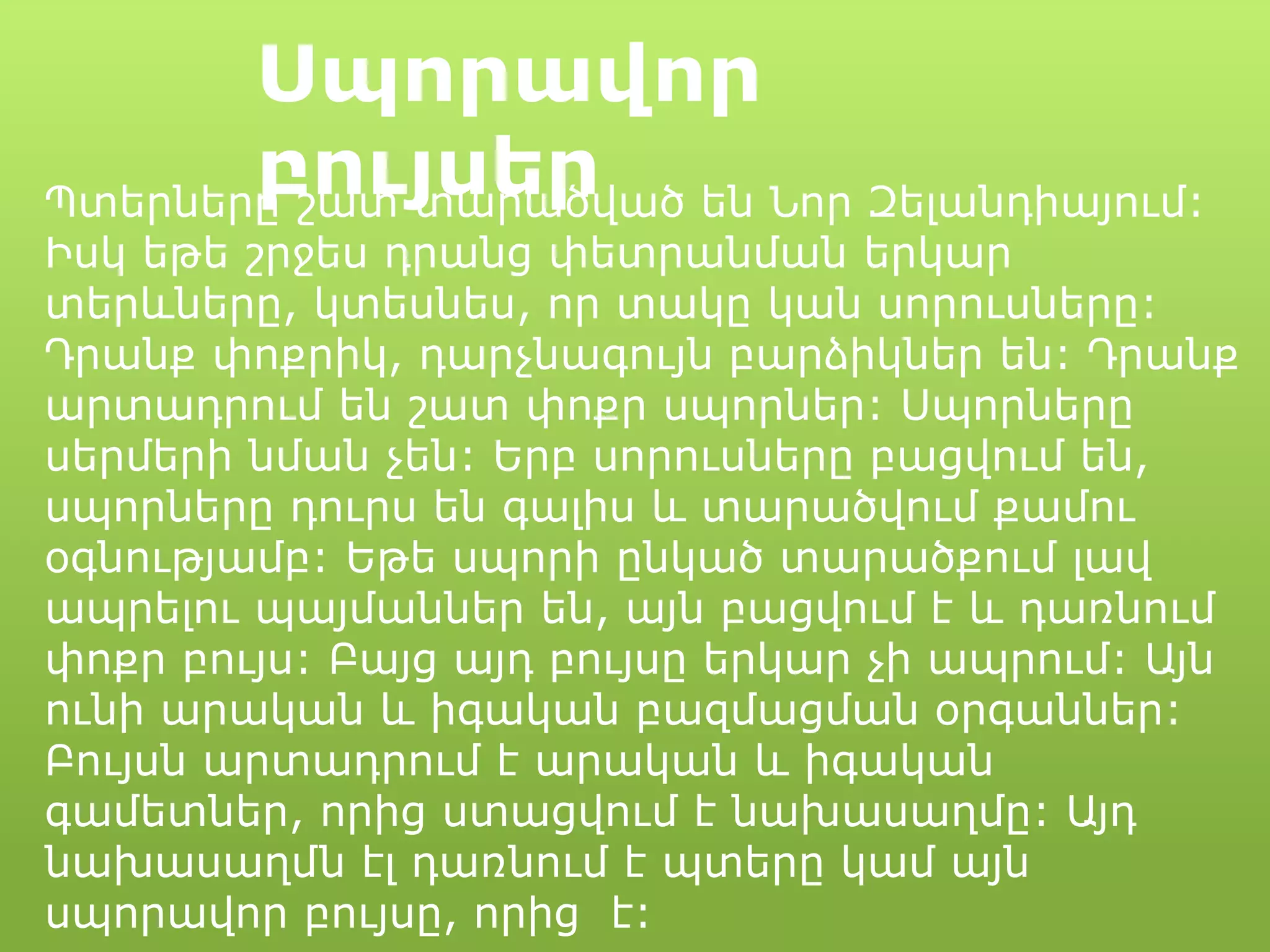 Սպորավոր
բույսերՊտերները շատ տարածված են Նոր Զելանդիայում:
Իսկ եթե շրջես դրանց փետրանման երկար
տերևները, կտեսնես, որ տակը կան սորուսները:
Դրանք փոքրիկ, դարչնագույն բարձիկներ են: Դրանք
արտադրում են շատ փոքր սպորներ: Սպորները
սերմերի նման չեն: Երբ սորուսները բացվում են,
սպորները դուրս են գալիս և տարածվում քամու
օգնությամբ: Եթե սպորի ընկած տարածքում լավ
ապրելու պայմաններ են, այն բացվում է և դառնում
փոքր բույս: Բայց այդ բույսը երկար չի ապրում: Այն
ունի արական և իգական բազմացման օրգաններ:
Բույսն արտադրում է արական և իգական
գամետներ, որից ստացվում է նախասաղմը: Այդ
նախասաղմն էլ դառնում է պտերը կամ այն
սպորավոր բույսը, որից է:
 