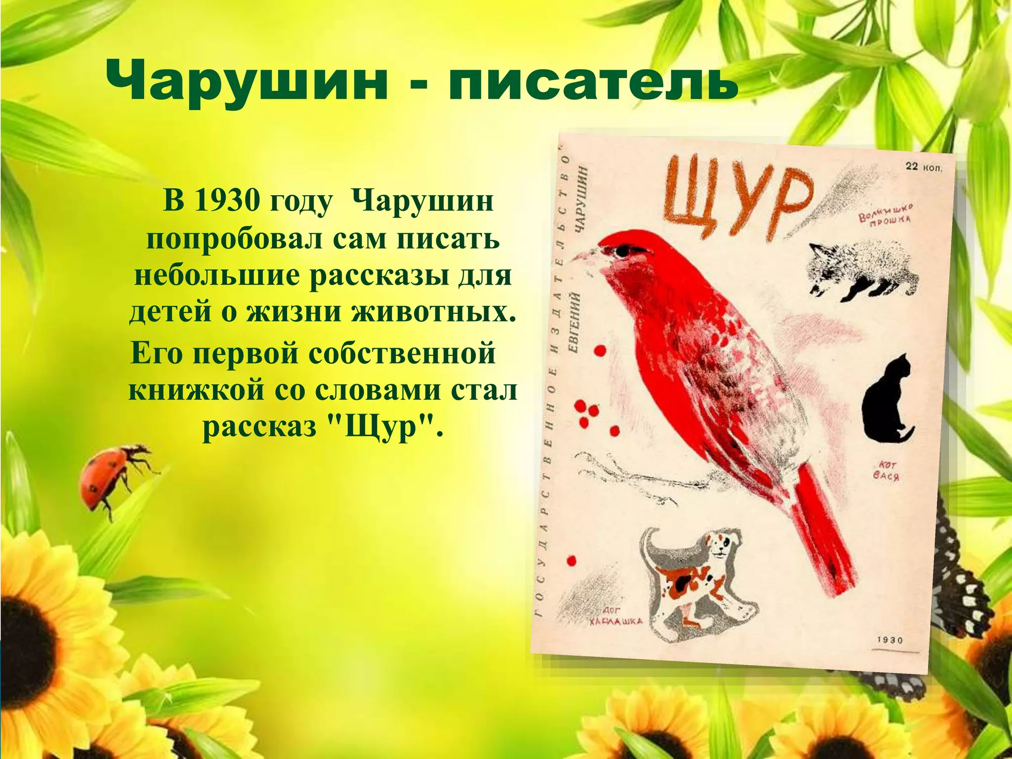 В 1930 году Чарушин
попробовал сам писать
небольшие рассказы для
детей о жизни животных.
Его первой собственной
книжкой со словами стал
рассказ "Щур".
Чарушин - писатель
 