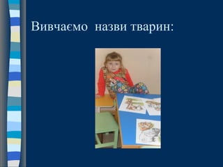 Вивчаємо назви тварин:
 