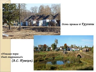 Осень пришлаОсень пришла в Грузиныв Грузины
«Унылая пора:«Унылая пора:
Очей очарованье!»Очей очарованье!»
((А.С. Пушкин).А.С. Пушкин).
 