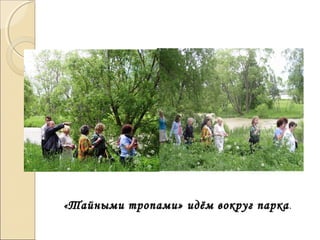 «Тайными тропами» идём вокруг паркаТайными тропами» идём вокруг парка..
 