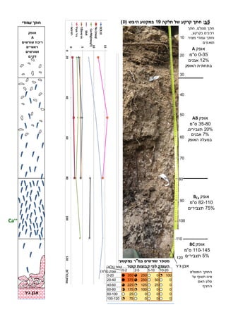 ‫המצולם‬ ‫החתך‬
‫עד‬ ‫חשוף‬ ‫אינו‬
‫האם‬ ‫סלע‬
‫הרציף‬
0
5
10
15
20
020406080100120140‫עומק‬(‫ס‬"‫מ‬)
‫י‬‫יער‬
0)
0
meql
Mg(meq/l)
R
‫חרס‬
‫גיר‬
‫רט‬0
5
10
15
20
020406080100120‫עומק‬(‫ס‬"‫מ‬)
‫יתיר‬‫יער‬D19
(D30)
ECX10
Na(meql
Ca+Mg(meq/l)
SAR
‫חרסית‬01
‫פעיל‬‫גיר‬
‫רטיבות‬
0-2 2-5 5-10 10-20
0-20 350 250 0 100
20-40 375 250 50 0
40-60 225 125 25 0
60-80 175 100 0 0
80-100 25 0 0 0
100-120 75 0 0 0
‫במ‬ ‫שורשים‬ ‫מספר‬"‫במקטעי‬ ‫ר‬
‫קוטר‬ ‫קבוצות‬ ‫לפי‬ ‫העומק‬‫קוטר‬(‫מ‬"‫מ‬)
‫עומק‬(‫ס‬"‫מ‬)
‫גיר‬ ‫אבן‬
Ca++
‫אופק‬
A
‫שורשים‬ ‫ריכוז‬
‫ראשיים‬
‫ושורשים‬
‫דקים‬
‫אופק‬A
0-32‫ס‬"‫מ‬
12%‫אבנים‬
‫האופק‬ ‫בתחתית‬
‫אופק‬AB
32-90‫ס‬"‫מ‬
20%‫תצבירים‬.
2%‫אבנים‬
‫האופק‬ ‫במעלה‬
‫אופק‬BCa
92-110‫ס‬"‫מ‬
22%‫תצבירים‬
‫אופק‬BC
110-142‫ס‬"‫מ‬
2%‫תצבירים‬
‫גיר‬ ‫אבן‬
10
20
30
40
20
60
20
90
90
100
110
120
2‫ב‬:‫חלקה‬ ‫של‬ ‫קרקע‬ ‫חת‬09‫היבש‬ ‫במקטע‬(D)
‫מצולם‬ ‫חתך‬,‫חתך‬
‫בקרקע‬ ‫רכיבים‬,
‫מצויר‬ ‫עמודי‬ ‫וחתך‬
‫תואמים‬
‫עמודי‬ ‫חת‬
 