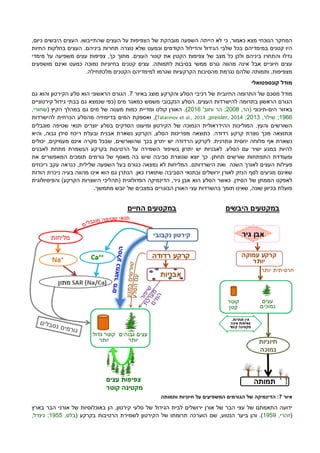 ‫מצא‬ ‫הנוכחי‬ ‫המחקר‬,‫כאמור‬‫כי‬‫של‬ ‫מובהקת‬ ‫השפעה‬ ‫הייתה‬ ‫לא‬‫העצים‬ ‫על‬ ‫הצפיפות‬‫שהתייבשו‬.,‫כיום‬ ‫היבשים‬ ‫העצים‬
‫קטנים‬ ‫היו‬‫במימדיהם‬‫הקודמים‬ ‫והדילול‬ ‫הגידול‬ ‫שלבי‬ ‫בכל‬‫ו‬‫שלא‬ ‫כמעט‬‫ביניהם‬ ‫תחרות‬ ‫נוצרה‬‫החיות‬ ‫בחלקות‬ ‫העצים‬ .
‫צפיפות‬ ‫של‬ ‫מצב‬ ‫כל‬ ‫ולכן‬ ‫ביניהם‬ ‫והתחרו‬ ‫גדלו‬‫קוטר‬ ‫את‬ ‫הקטין‬.‫העצים‬‫מימדי‬ ‫על‬ ‫משפיעה‬ ‫עצים‬ ‫צפיפות‬ ,‫כך‬ ‫מתוך‬
‫נמו‬ ‫בחיוניות‬ ‫קטנים‬ ‫עצים‬ .‫לתמותה‬ ‫בסיבות‬ ‫ממשי‬ ‫גורם‬ ‫מהווה‬ ‫אינה‬ ‫אבל‬ ‫חיוניים‬ ‫עצים‬‫מושפעים‬ ‫ואינם‬ ‫כמעט‬ ‫כה‬
.‫מלכתחילה‬ ‫הקטנים‬ ‫למימדיהם‬ ‫שגרמו‬ ‫הקרקעיות‬ ‫מהסיבות‬ ‫נגרמת‬ ‫שלהם‬ ‫ותמותה‬ ,‫מצפיפות‬
‫קונספטואלי‬ ‫מודל‬
‫מודל‬‫של‬ ‫מסכם‬‫והקרקע‬ ‫הסלע‬ ‫רכיבי‬ ‫של‬ ‫החיובית‬ ‫התרומה‬‫באיור‬ ‫מוצג‬2‫גם‬ ‫והוא‬ ‫הקירטון‬ ‫סלע‬ ‫הוא‬ ‫הראשוני‬ ‫הגורם‬ .
‫הסלע‬ .‫העצים‬ ‫להישרדות‬ ‫בתרומה‬ ‫הראשון‬ ‫הגורם‬‫שנמצא‬ ‫(כפי‬ ‫מים‬ ‫כמאגר‬ ‫משמש‬ ‫הנקבובי‬‫גם‬‫קירטוניים‬ ‫גידול‬ ‫בבתי‬
‫הים‬ ‫באזור‬-‫תיכוני‬,‫(הר‬2009'‫וחוב‬ ‫הר‬ ;2016‫קולט‬ ‫האורן‬ .)‫של‬ ‫מעטה‬ ‫כמות‬ ‫ומדיית‬‫מים‬‫גם‬( ‫הקיץ‬ ‫במהלך‬,‫שחורי‬
1966;,‫שילר‬2013;;preisler, 2014Tatarinov et al., 2014),‫ו‬‫להישרדות‬ ‫הכרחית‬ ‫מהסלע‬ ‫בדיפוזיה‬ ‫המים‬ ‫אספקת‬
‫מוגבלים‬ ‫שטיפה‬ ‫תנאי‬ ‫יוצרים‬ ‫בסלע‬ ‫הסדקים‬ ‫ומיעוט‬ ‫הקירטון‬ ‫של‬ ‫הנמוכה‬ ‫ההידראולית‬ ‫המוליכות‬ .‫והעץ‬ ‫השורשים‬
‫קרקע‬ ‫נוצרת‬ ‫מכך‬ ‫וכתוצאה‬‫רדודה‬‫והיא‬ ,‫גבוה‬ ‫סידן‬ ‫ריכוז‬ ‫ובעלת‬ ‫אבנית‬ ‫נשארת‬ ‫הקרקע‬ ,‫הסלע‬ ‫מפריכות‬ ‫כתוצאה‬ .
‫יחסית‬ ‫מלוחה‬ ‫אף‬ ‫נשארת‬‫יכולים‬ ,‫מעמיקים‬ ‫אינם‬ ‫מקרה‬ ‫שבכל‬ ,‫שהשורשים‬ ‫בכך‬ ‫יתרון‬ ‫יש‬ ‫הרדודה‬ ‫לקרקע‬ .‫ונתרנית‬
‫בקרקע‬ ‫הרטיבות‬ ‫על‬ ‫השמירה‬ ‫בשיפור‬ ‫יתרון‬ ‫יש‬ ‫לאבניות‬ .‫הסלע‬ ‫עם‬ ‫ישיר‬ ‫במגע‬ ‫להיות‬‫לאבנים‬ ‫מתחת‬ ‫הנשמרת‬
‫תחתן‬ ‫שורשים‬ ‫התפתחות‬ ‫ומעודדת‬.‫גורמים‬ ‫של‬ ‫מאסף‬ ‫בה‬ ‫שיש‬ ‫סביבה‬ ‫שנוצרת‬ ‫יוצא‬ ‫כך‬‫תומכים‬‫המאפשרים‬‫את‬
‫העצים‬ ‫פעילות‬‫השנה‬ ‫לאורך‬‫ו‬‫את‬‫הישרדות‬‫ם‬.‫ריכוזים‬ ‫עקב‬ ‫כנראה‬ ,‫שלילית‬ ‫השפעה‬ ‫בעל‬ ‫כגורם‬ ‫נמצאה‬ ‫לא‬ ‫המליחות‬
.‫כאן‬ ‫שתוארו‬ ‫הסביבה‬ ‫ובתנאי‬ ‫ירושלים‬ ‫לאורן‬ ‫הנזק‬ ‫לסף‬ ‫מגיעים‬ ‫שאינם‬‫הודות‬ ‫ניכרת‬ ‫בעיה‬ ‫מהווה‬ ‫אינו‬ ‫הוא‬ ‫גם‬ ‫הנתרן‬
,‫גיר‬ ‫אבן‬ ‫הוא‬ ‫הסלע‬ ‫כאשר‬ .‫הסידן‬ ‫של‬ ‫הממתן‬ ‫לאפקט‬‫ה‬ ‫(תהליכי‬ ‫הפדולוגית‬ ‫הדינמיקה‬‫י‬‫והפיסיולוגית‬ )‫הקרקע‬ ‫ווצרות‬
.‫מתמשך‬ ‫יובש‬ ‫של‬ ‫במצבים‬ ‫הבוגרים‬ ‫האורן‬ ‫עצי‬ ‫בהשרדות‬ ‫תומך‬ ‫שאינו‬ ,‫שונה‬ ‫בכיוון‬ ‫פועלת‬
‫איור‬7‫ותמותה‬ ‫חיוניות‬ ‫על‬ ‫המשפיעים‬ ‫הגורמים‬ ‫של‬ ‫הדינמיקה‬ :
‫ידועה‬‫התאמתם‬‫של‬‫של‬ ‫הבר‬ ‫עצי‬‫קירטו‬ ‫סלעי‬ ‫של‬ ‫הגידול‬ ‫לבית‬ ‫ירושלים‬ ‫אורן‬‫ן‬‫בארץ‬ ‫הבר‬ ‫אורני‬ ‫של‬ ‫באוכלוסיות‬ ‫הן‬ ,
(,‫זהרי‬1929.)‫והן‬‫הנטוע‬ ‫ביער‬‫ה‬ ‫של‬ ‫תרומתו‬ ‫הוערכה‬ ‫שם‬ ,‫קירטון‬‫ל‬( ‫בקרקע‬ ‫הרטיבות‬ ‫שמירת‬,‫בלס‬1922,‫גינדל‬ ;
 