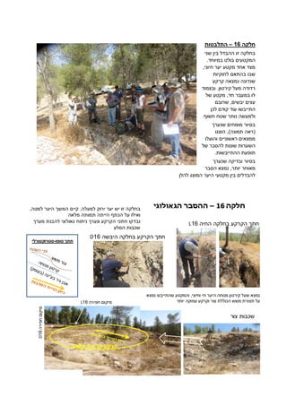 ‫חלקה‬02–‫התלבטות‬
‫שני‬ ‫בין‬ ‫ההבדל‬ ‫זו‬ ‫בחלקה‬
‫בולט‬ ‫המקטעים‬.‫במיוחד‬
,‫חיוני‬ ‫יער‬ ‫מקטע‬ ‫אחד‬ ‫מצד‬
‫בהת‬ ‫שבו‬‫א‬‫לחוקיות‬ ‫ם‬
‫קרקע‬ ‫נמצאה‬ ‫שנדונה‬
‫ובצמוד‬ .‫קירטון‬ ‫מעל‬ ‫רדודה‬
‫של‬ ‫מקטע‬ ,‫חד‬ ‫במעבר‬ ‫לו‬
‫שרובם‬ ,‫יבשים‬ ‫עצים‬
‫לכן‬ ‫קודם‬ ‫עוד‬ ‫התייבשו‬
.‫חשוף‬ ‫שטח‬ ‫נותר‬ ‫ולמעשה‬
‫שנערך‬ ‫מומחים‬ ‫בסיור‬
‫הוצגו‬ ,)‫תמונה‬ ‫(ראה‬
‫והועלו‬ ‫ראשוניים‬ ‫ממצאים‬
‫ש‬ ‫להסבר‬ ‫שונות‬ ‫השערות‬‫ל‬
.‫ההתייבשות‬ ‫תופעת‬
‫שנער‬ ‫ובדיקה‬ ‫בסיור‬‫ך‬
‫הסבר‬ ‫נמצא‬ ,‫יותר‬ ‫מאוחר‬
‫להלן‬ ‫המוצג‬ ‫היער‬ ‫מקטעי‬ ‫בין‬ ‫להבדלים‬
‫צור‬ ‫שכבות‬
‫חפירה‬‫מיקום‬16D
‫החיה‬ ‫בחלקה‬ ‫הקרקע‬ ‫חתך‬16L
‫היבשה‬ ‫בחלקה‬ ‫הקרקע‬ ‫חתך‬16D
–‫י‬ ‫ו‬ ‫ו‬
‫טופו‬ ‫חת‬-‫סטרוקטורלי‬
‫למעלה‬ ‫ירוק‬ ‫יער‬ ‫יש‬ ‫זו‬ ‫בחלקה‬,‫למטה‬ ‫היער‬ ‫המשך‬ ‫קיים‬,
‫מלאה‬ ‫תמותה‬ ‫הייתה‬ ‫הכתף‬ ‫על‬ ‫ואילו‬
‫מערך‬ ‫להבנת‬ ‫גאולוגי‬ ‫ניתוח‬ ‫ונערך‬ ‫הקרקע‬ ‫חתכי‬ ‫נבדקו‬
‫הסלע‬ ‫שכבות‬
‫חפירה‬ ‫מיקום‬16L
‫שעל‬ ‫נמצא‬‫קירטון‬‫וחיוני‬ ‫חי‬ ‫היער‬ ‫מנוחה‬,‫נמצא‬ ‫שהתייבש‬ ‫והמקטע‬
‫יותר‬ ‫עמוקה‬ ‫וקרקע‬ ‫צור‬ ‫הכוללת‬ ‫משש‬ ‫תצורת‬ ‫על‬
‫משש‬ ‫צור‬ ‫על‬ ‫קרקע‬
 