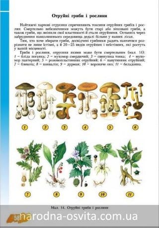Підручник Основи Здоров'я 8 клас Бех, Воронцова, Пономаренко, Страшко