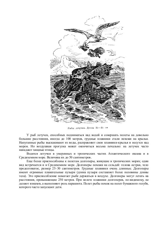 Сухомлинський 100 Порад Учителю