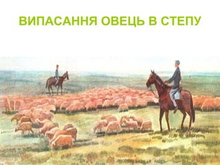 ВИПАСАННЯ ОВЕЦЬ В СТЕПУ
 