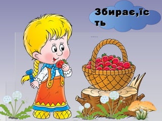 Збирає,їсЗбирає,їс
тьть
 