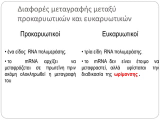 Προκαρυωτικοί
• ένα είδος RNA πολυμεράσης.
• το mRNA αρχίζει να
μεταφράζεται σε πρωτεΐνη πριν
ακόμη ολοκληρωθεί η μεταγραφή
του
Ευκαρυωτικοί
• τρία είδη RNA πολυμεράσης.
• το mRNA δεν είναι έτοιμο να
μεταφραστεί, αλλά υφίσταται την
διαδικασία της ωρίμανσης .
Διαφορές μεταγραφής μεταξύ
προκαρυωτικών και ευκαρυωτικών
 