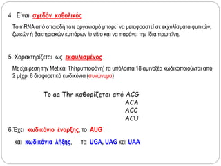 4. Είναι σχεδόν καθολικός
Το mRNA από οποιοδήποτε οργανισμό μπορεί να μεταφραστεί σε εκχυλίσματα φυτικών,
ζωικών ή βακτηριακών κυττάρων in vitro και να παράγει την ίδια πρωτεΐνη.
5. Χαρακτηρίζεται ως εκφυλισμένος
Με εξαίρεση την Met και Th(τρυπτοφάνη) τα υπόλοιπα 18 αμινοξέα κωδικοποιούνται από
2 μέχρι 6 διαφορετικά κωδικόνια (συνώνυμα)
6.Έχει κωδικόνιο έναρξης, το AUG
και κωδικόνια λήξης, τα UGA, UAG και UAA
 